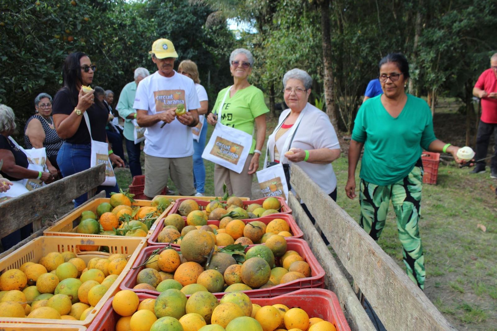 Venha conhecer o circuito da laranja!